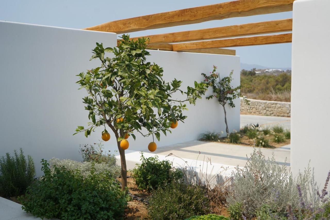 Alio Naxos Luxury Suites Agios Georgios  Luaran gambar