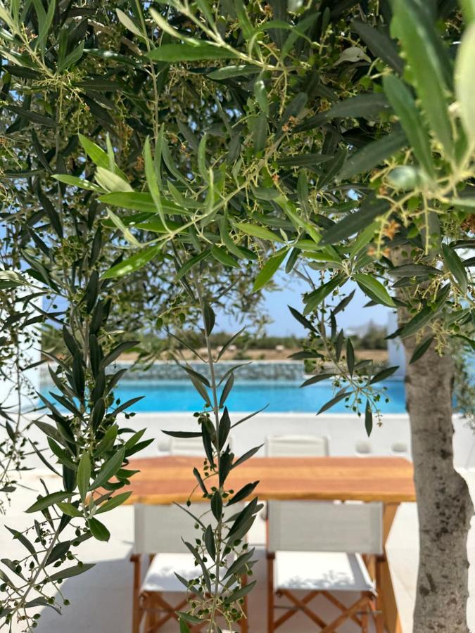 Alio Naxos Luxury Suites Agios Georgios  Luaran gambar