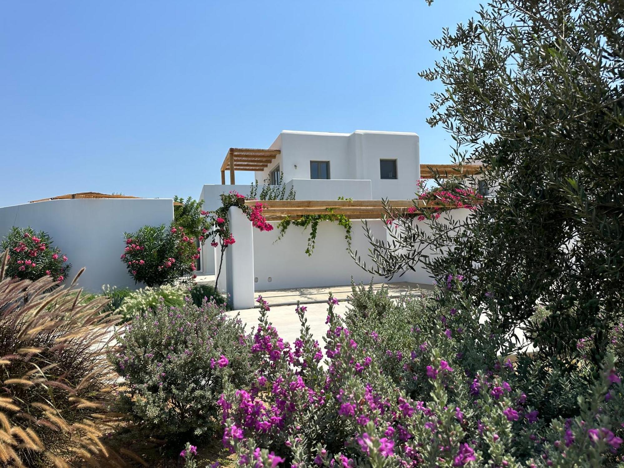 Alio Naxos Luxury Suites Agios Georgios  Luaran gambar