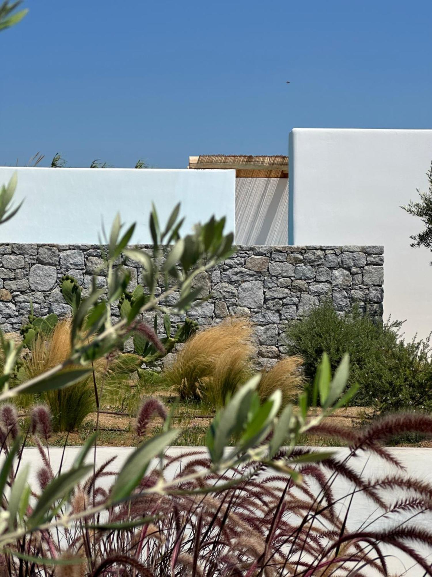 Alio Naxos Luxury Suites Agios Georgios  Luaran gambar