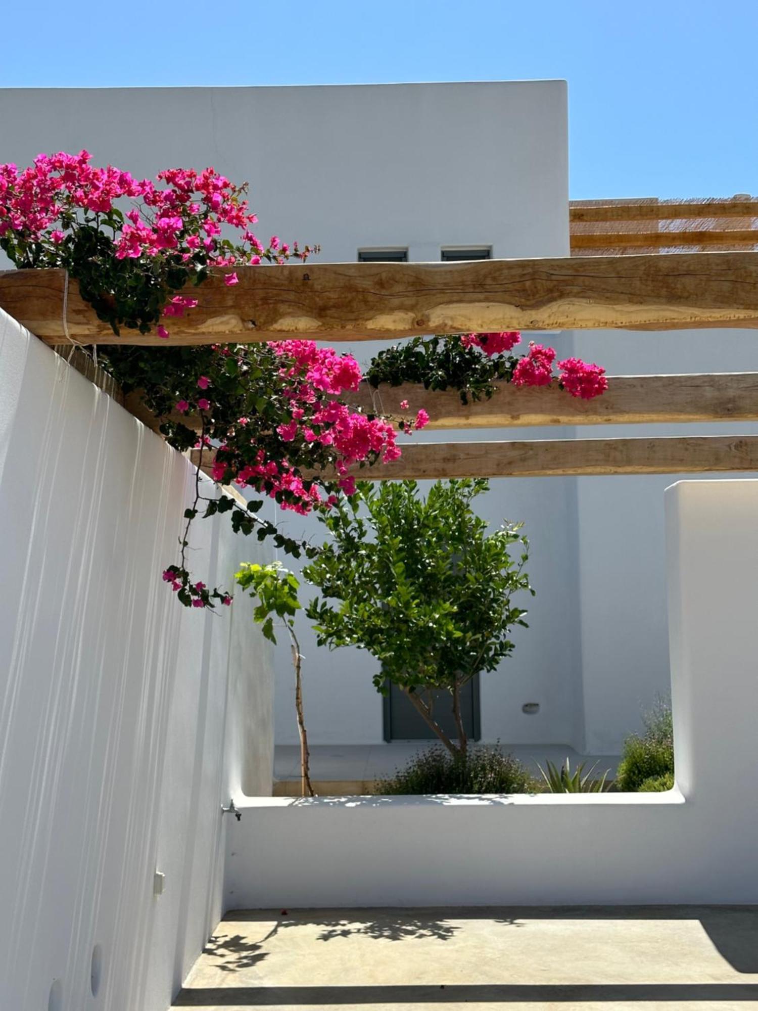 Alio Naxos Luxury Suites Agios Georgios  Luaran gambar