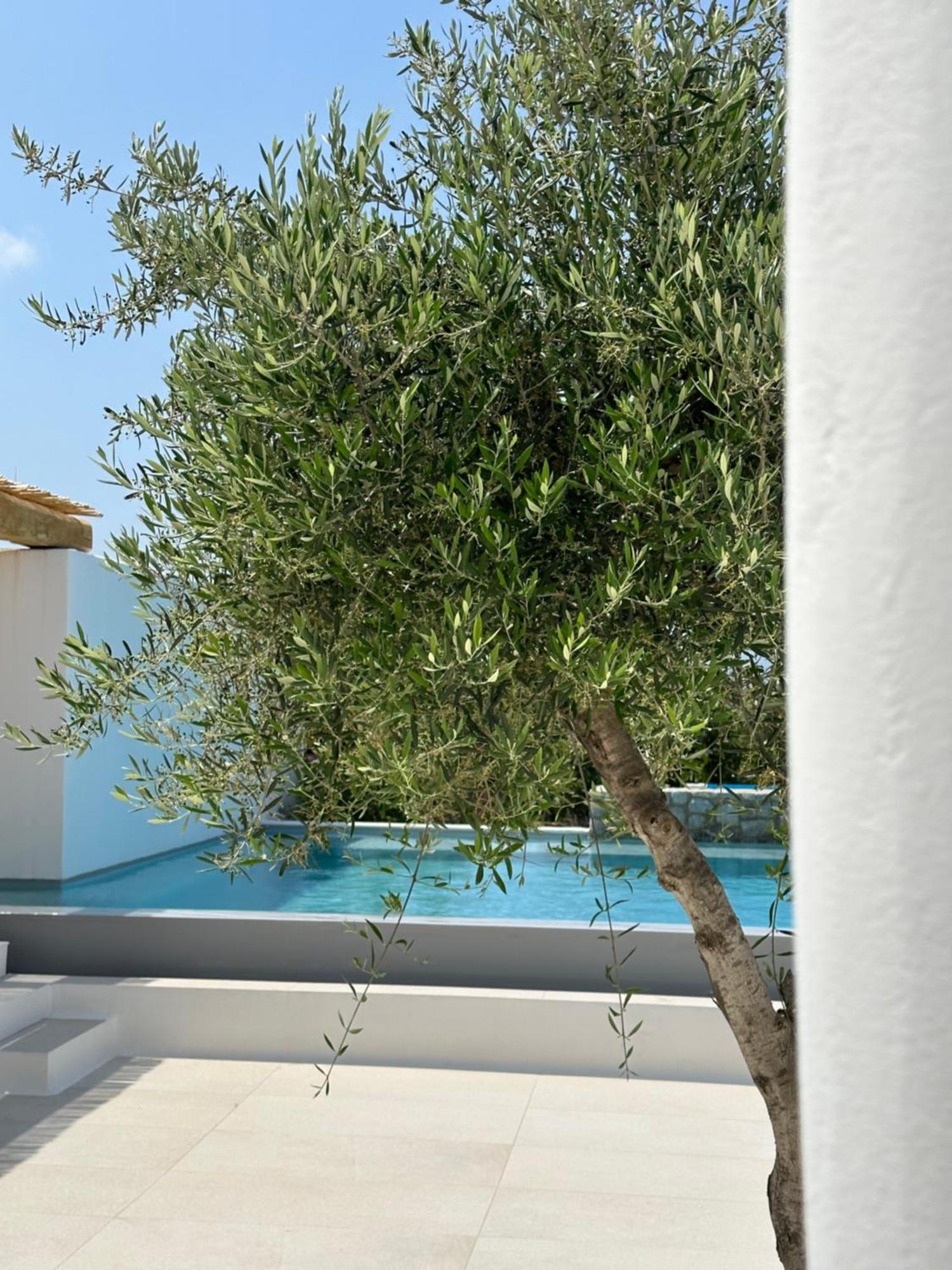 Alio Naxos Luxury Suites Agios Georgios  Luaran gambar