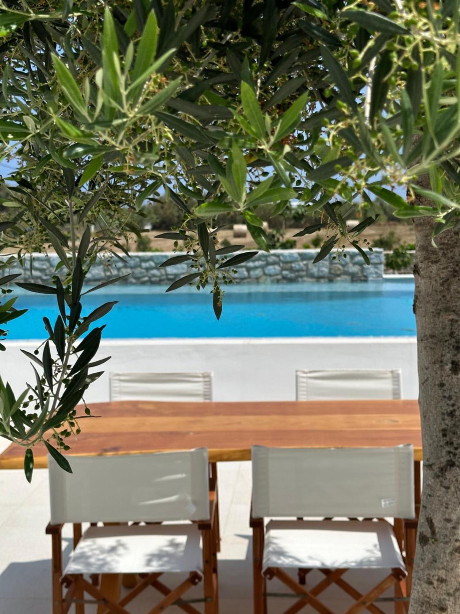 Alio Naxos Luxury Suites Agios Georgios  Luaran gambar